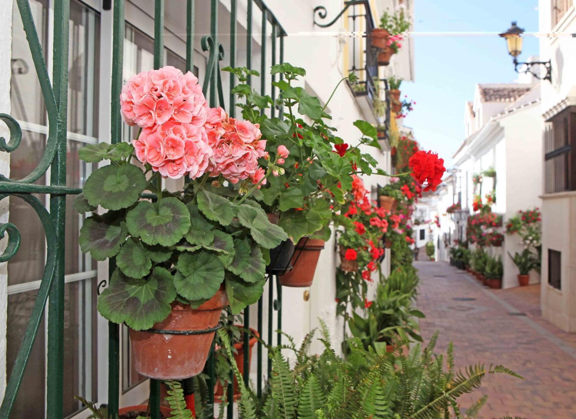 I Am La Posada Hotel And Apartment Benalmadena Exterior photo